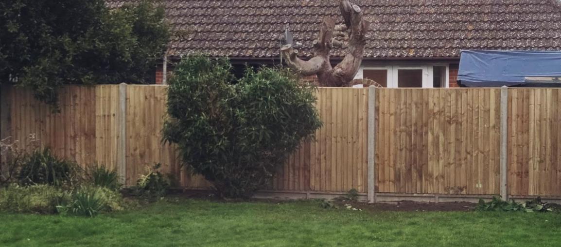Fresh closeboard fence panels with concrete posts after installation