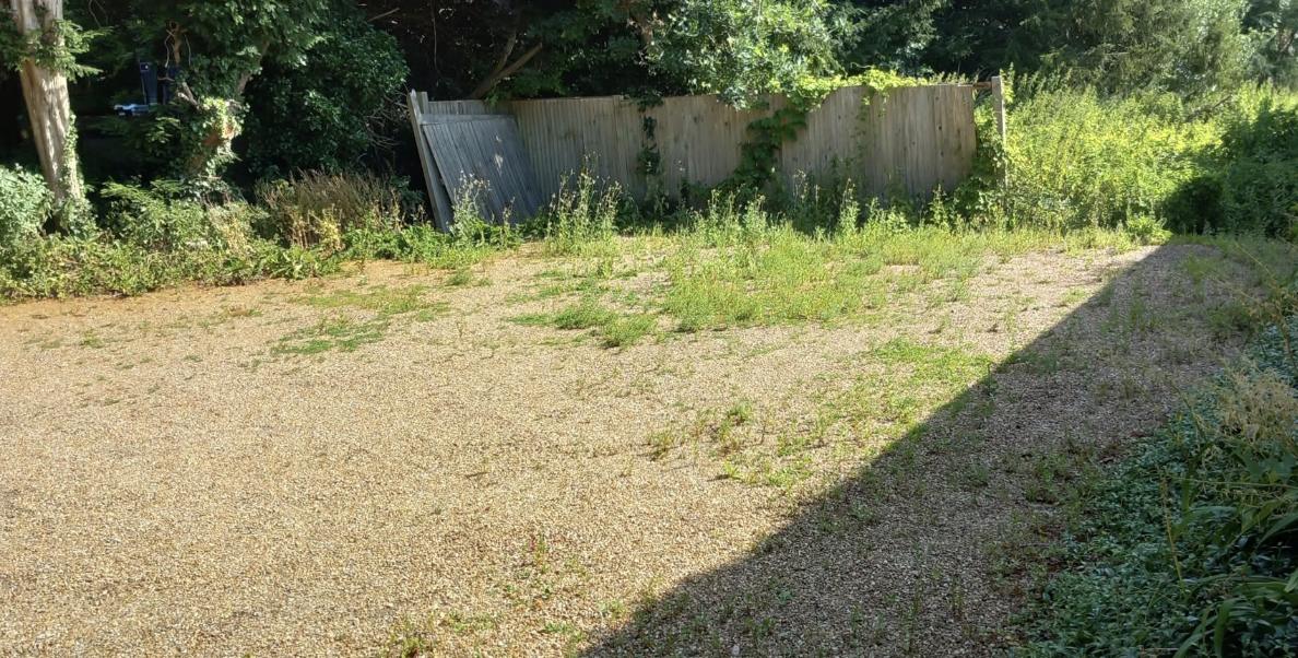 Collapsed and overgrown fence panels before replacement in Folkestone
