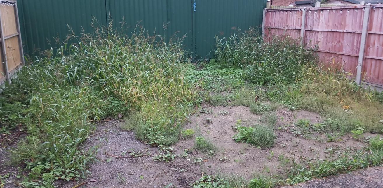 Overgrown garden with broken paving before a new patio and path in Folkestone