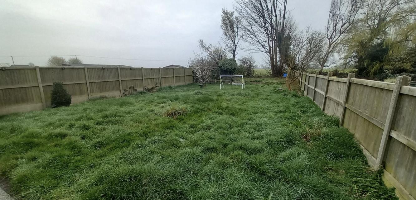 Freshly striped lawn after cutting by Lawn Ranger Landscapes